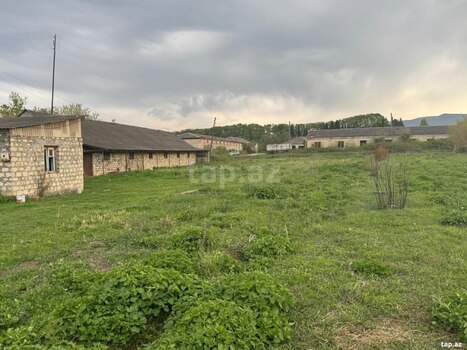 50 sot torpaq sahəsi, Tovuz rayonu