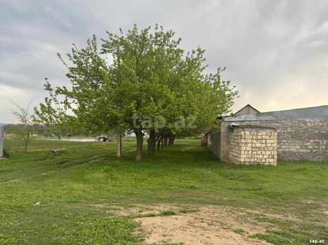 50 sot torpaq sahəsi, Tovuz rayonu