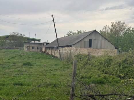 50 sot torpaq sahəsi, Tovuz rayonu