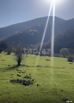 12 sot torpaq sahəsi, Oğuz r.