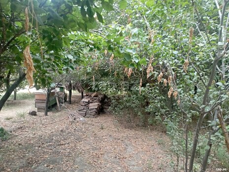 Həyət evi, Ağcabədi r.