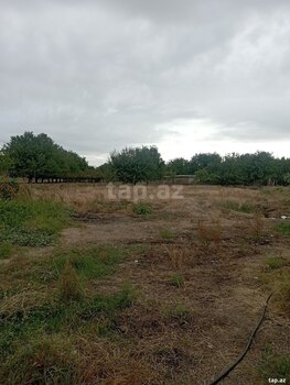 Həyət evi, Ağcabədi r.