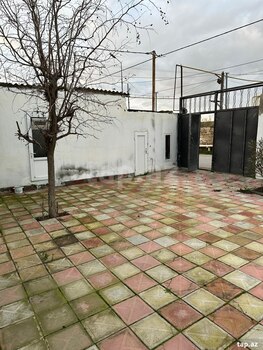 Həyət evi kirayə verilir, Türkan qəs.