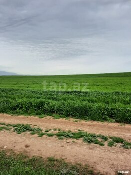 10000 sot torpaq sahəsi, Siyəzən r.