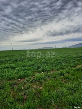 10000 sot torpaq sahəsi, Siyəzən r.