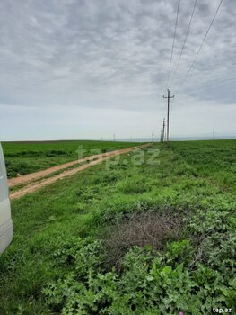 10000 sot torpaq sahəsi, Siyəzən r.