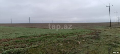 10000 sot torpaq sahəsi, Siyəzən r.