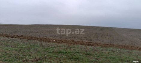10000 sot torpaq sahəsi, Siyəzən r.
