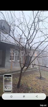 Həyət evi, Şəki ş.