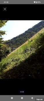 Həyət evi, Lənkəran ş.