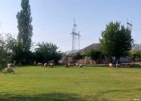 Bağ evi kirayə verilir, Mingəçevir ş.