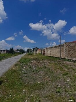 Həyət evi, Şəki ş.