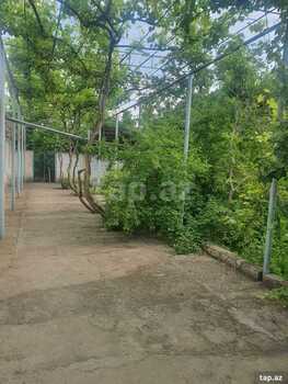 Həyət evi, Quba r.