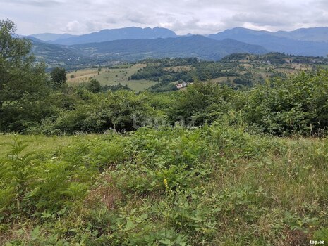 Həyət evi, Möhüc kəndi