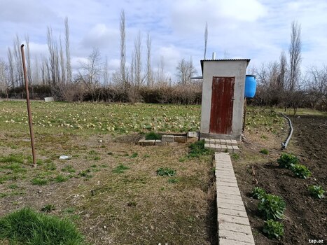 Həyət evi, Şabran r.