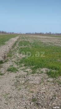 1.8 sot torpaq sahəsi, Xaçmaz r.