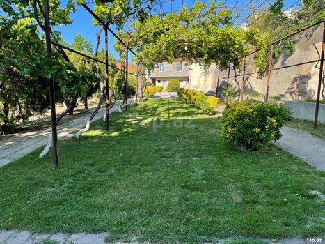 Bağ evi kirayə verilir, Novxanı qəs.