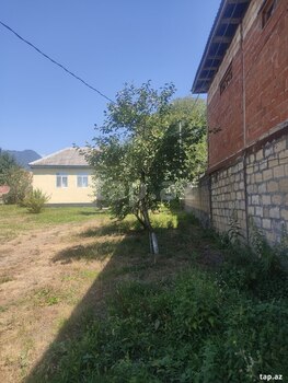 Həyət evi, Qəbələ ş.