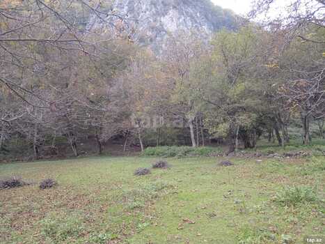 12 sot torpaq sahəsi, Oğuz r.