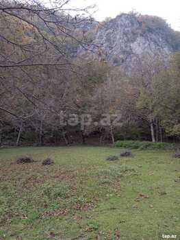 12 sot torpaq sahəsi, Oğuz r.