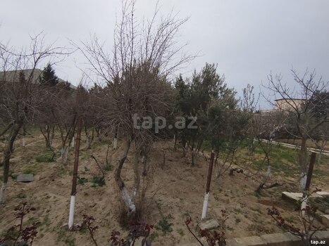 12 sot torpaq sahəsi, Binəqədi r.