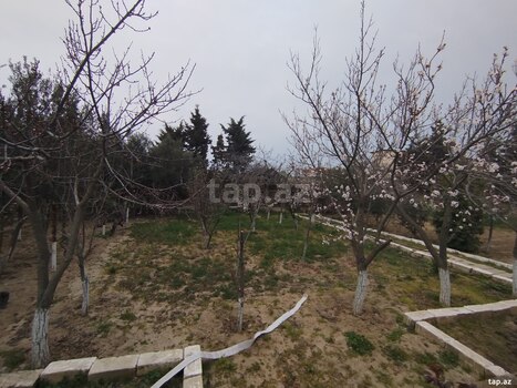 12 sot torpaq sahəsi, Binəqədi r.