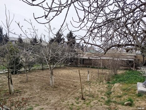 12 sot torpaq sahəsi, Binəqədi r.