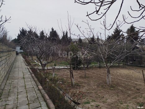 12 sot torpaq sahəsi, Binəqədi r.