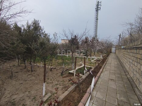 12 sot torpaq sahəsi, Binəqədi r.