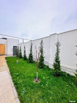 Bağ evi kirayə verilir, Mərdəkan qəs.