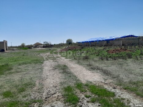 8 sot torpaq sahəsi, Salyan r.
