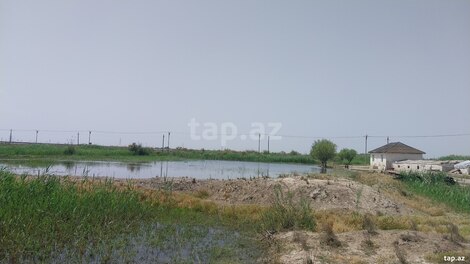 8 sot torpaq sahəsi, Salyan r.