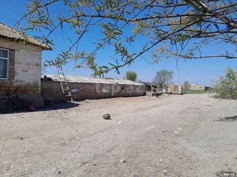 8 sot torpaq sahəsi, Salyan r.