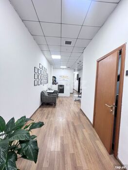 Ofis icarəyə verilir, Nizami küç.