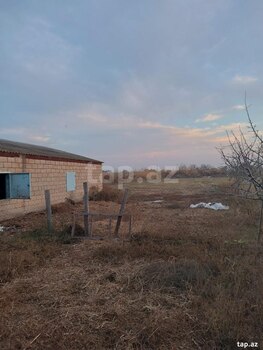 Həyət evi, İmişli r.