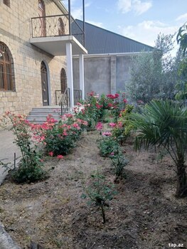 Villa, Gəncə ş.