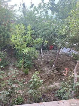 Həyət evi kirayə verilir, Sumqayıt ş.