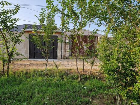 Bağ evi kirayə verilir, Buzovna qəs.