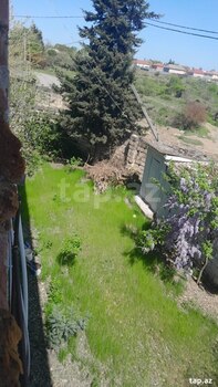 Həyət evi, Masallı r.