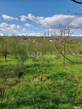 12 sot torpaq sahəsi, Qusar r.