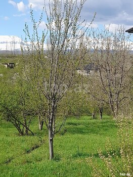 12 sot torpaq sahəsi, Qusar r.
