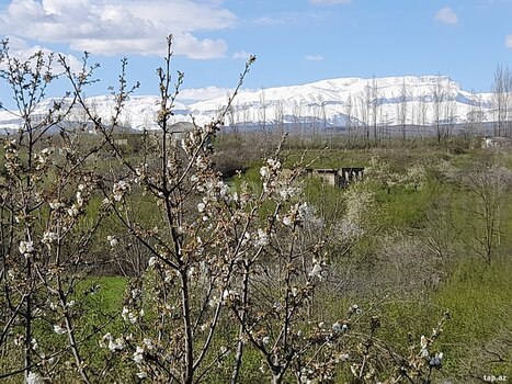 12 sot torpaq sahəsi, Qusar r.