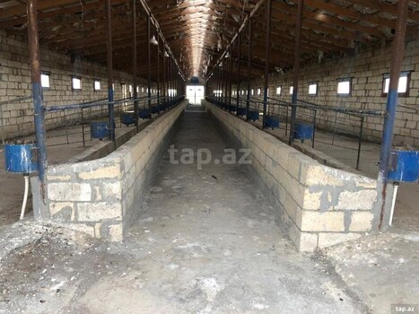 100 sot torpaq sahəsi, İmişli r.