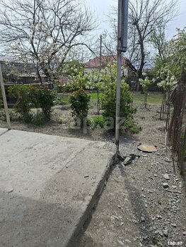 Həyət evi, Şəki r.