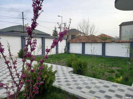 Villa kirayə verilir, Qəbələ ş.