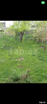 Həyət evi, Şəki ş.