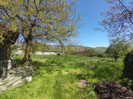 12 sot torpaq sahəsi, Şəki ş.