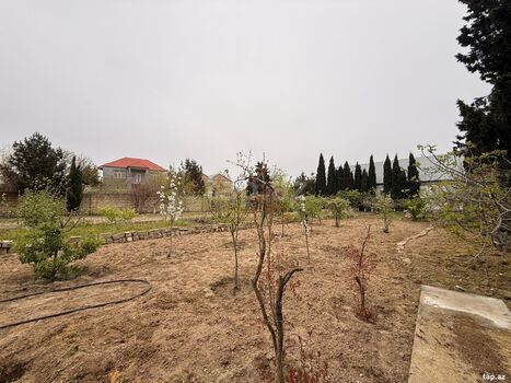15 sot torpaq sahəsi, Mərdəkan qəs.