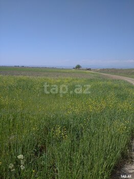 3000 sot torpaq sahəsi, Xızı r.