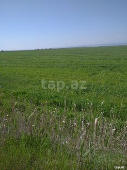 3000 sot torpaq sahəsi, Xızı r.
